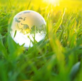 Suspendisse arcu nisl